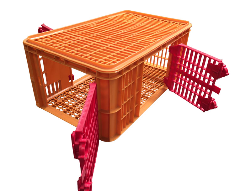 Carfed Maxicarfed Code 43 3p – Crate