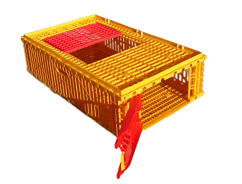 Carfed International collapsible birds crates