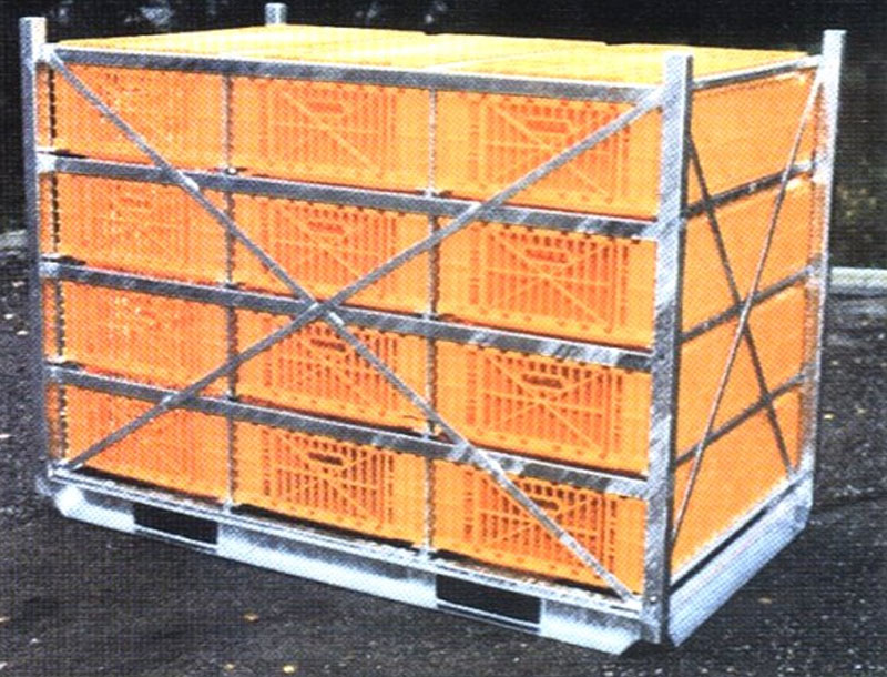 Carfed International frames