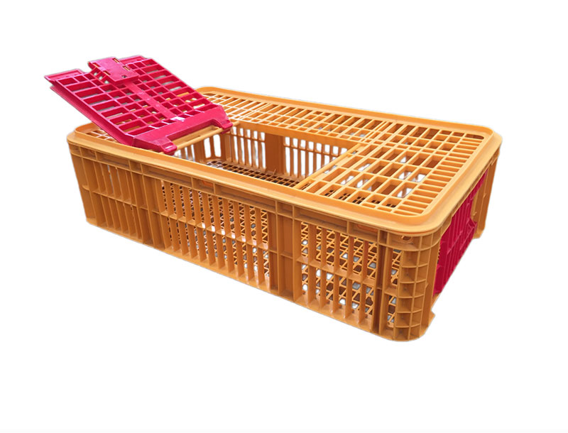 Carfed International monoblock live birds crates