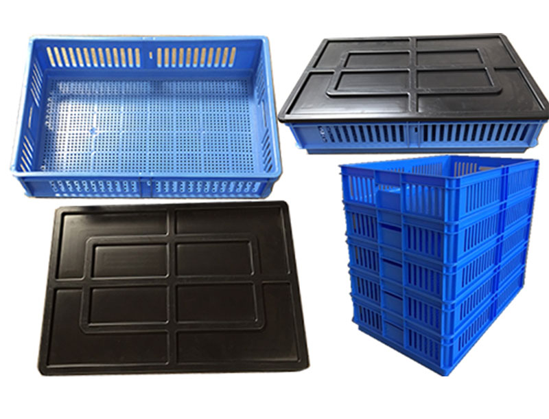 Carfed International poultry farms