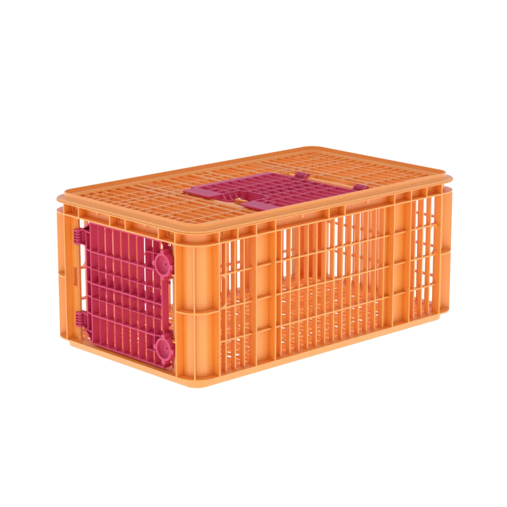 Carfed Maxicarfed 43 2P