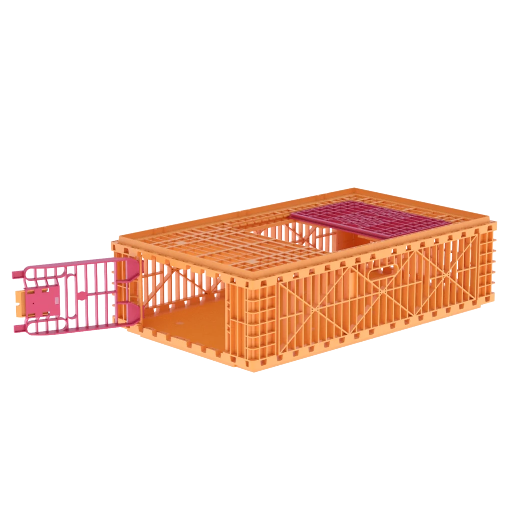 Carfed Multi 100 B1 FP