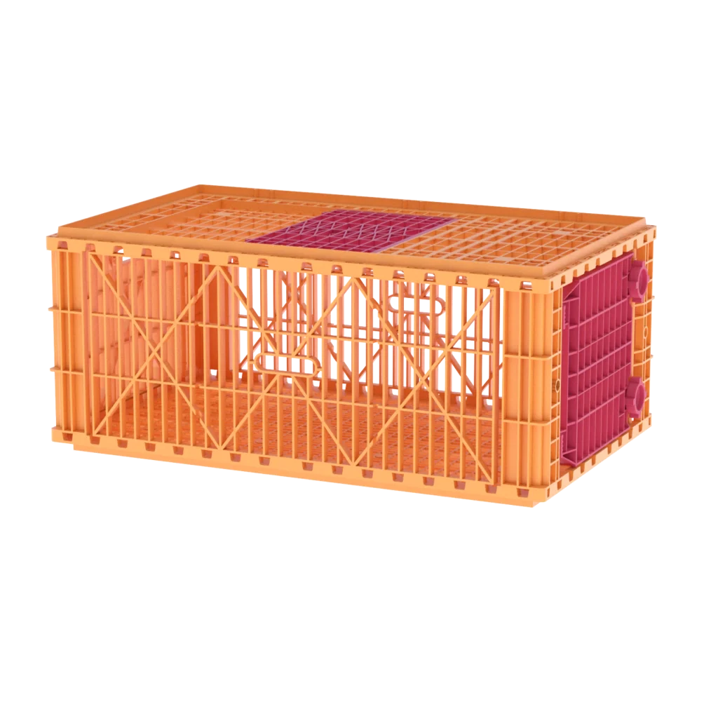 Carfed Multi 100 B1 T