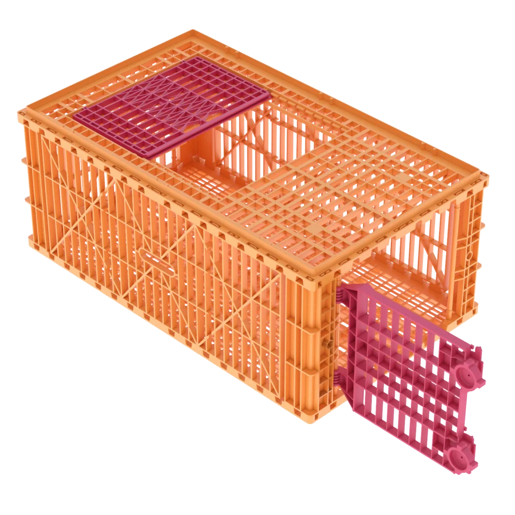 Carfed Multi 100 B1 T