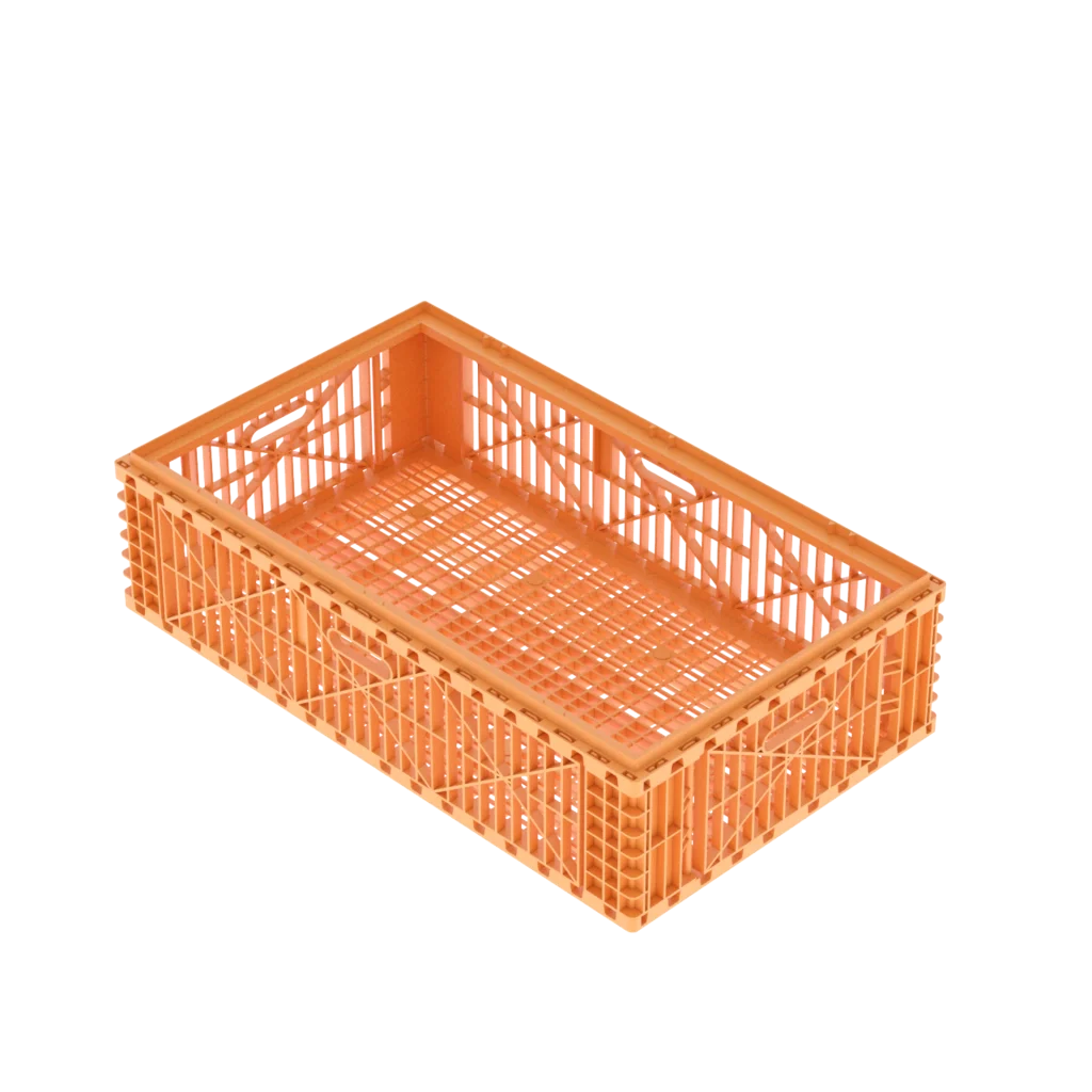 Carfed Multi 100 B0 Basket