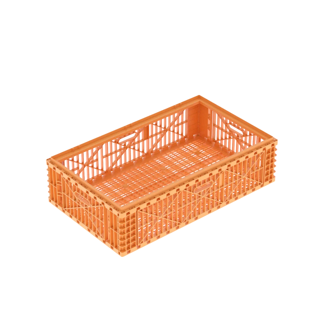 Carfed Multi 100 B0 Basket