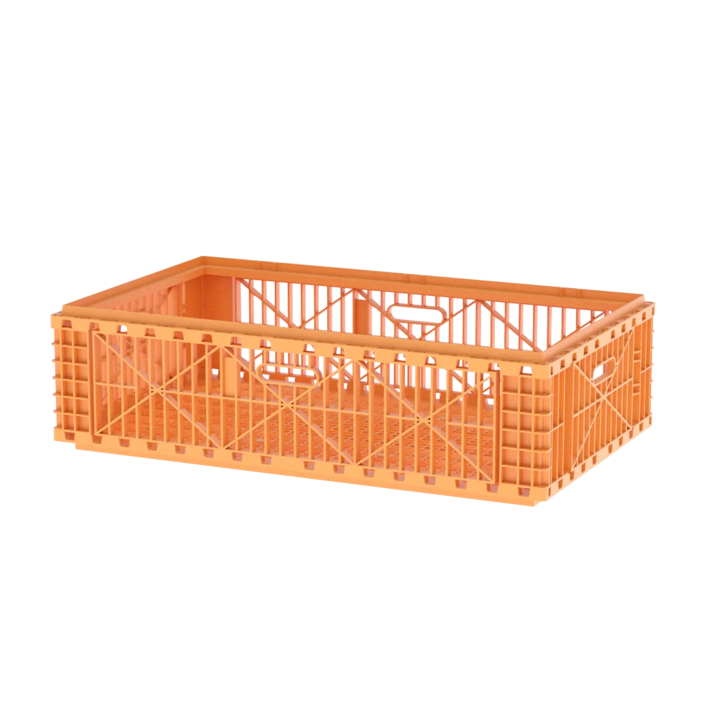 Carfed Multi 100 B0 Basket