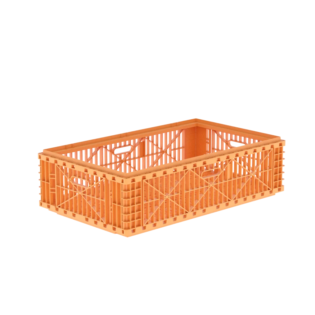Carfed Multi 100 B0 Basket