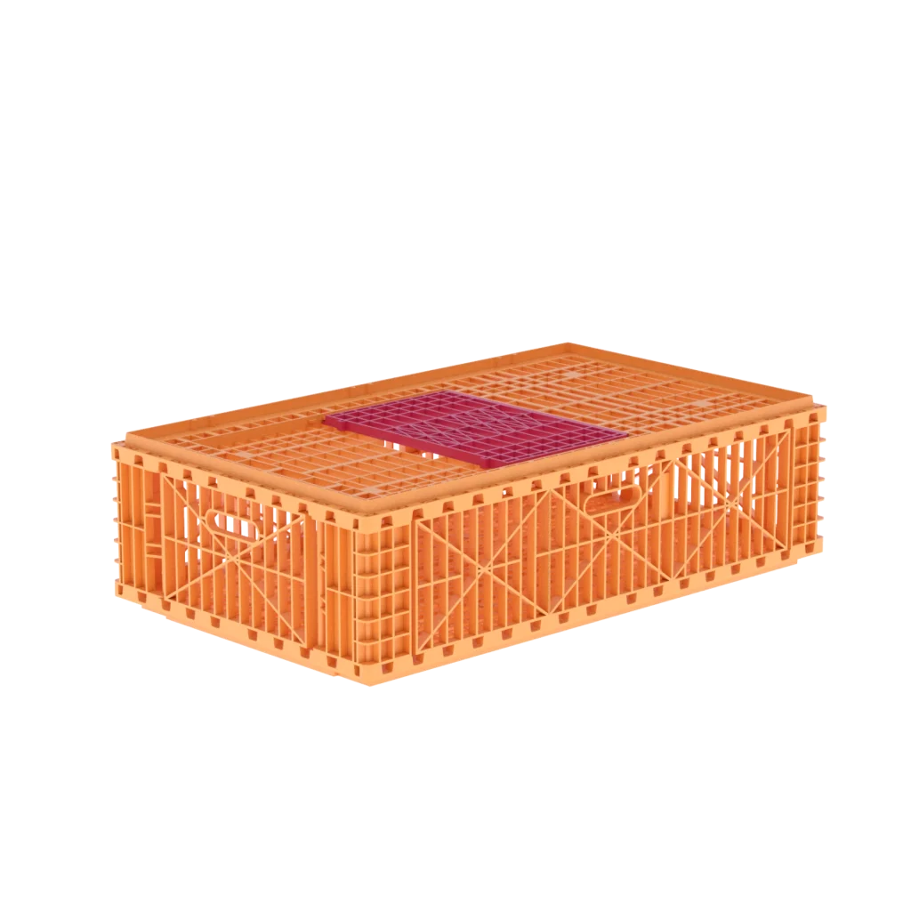 Carfed Multi 100 B0 Crate