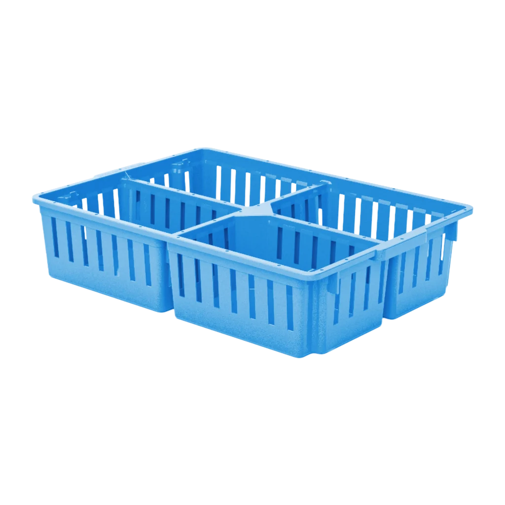 Carfed Chick Box 12 - 4 Comparts