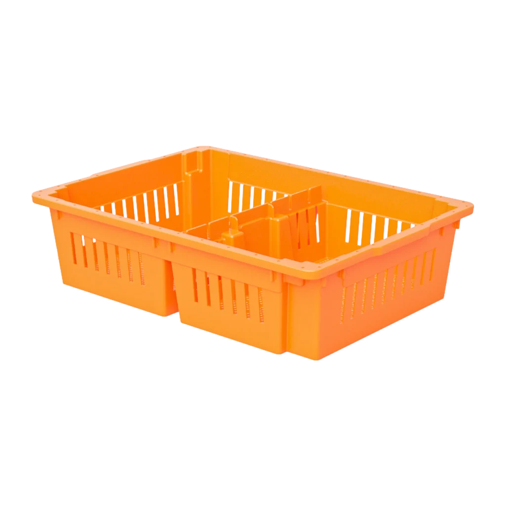 Carfed Chick Box 2C