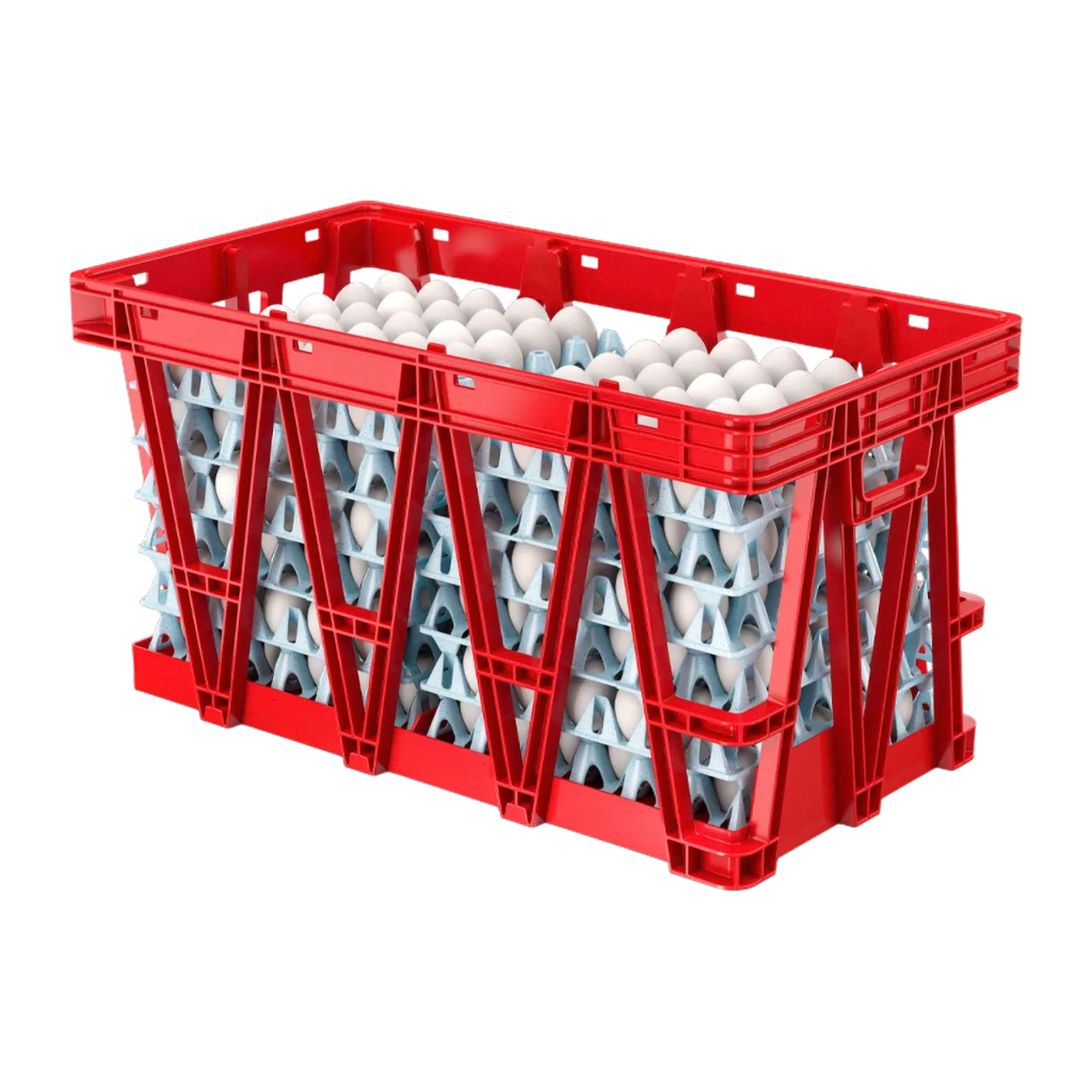 Carfed Eggs Crate 50 with Eggs Trays