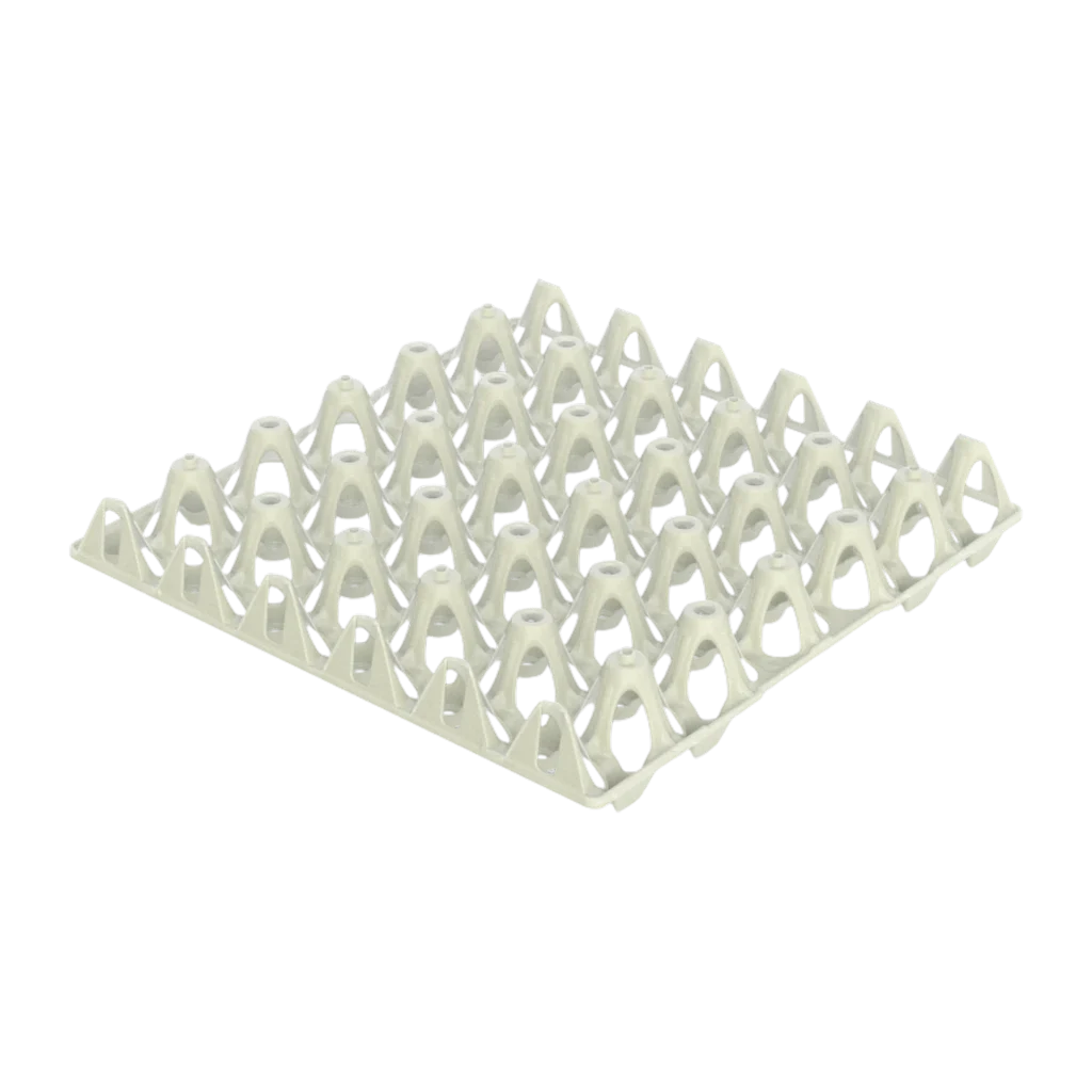 Carfed Egg Tray 10